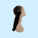 Straight Lace Front Wig